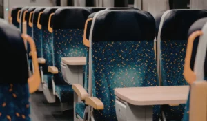 Bed bugs transfer risk on fabric public transit seating in Chicago.